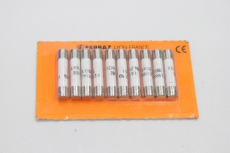 10x FERRAZ SHAWMUT Zylindersicherung 10A 380V IR:150kA  6x32 B084365P OVP