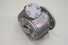 GHIRRI MOTORIDUTTORI  RV30 F2 1:60 Schneckengetriebe Worm drive RV30F2