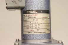 ENGEL D 2745/2-G24 220 V  50 Hz  G24 -180:1 Getriebemotor D2745/2-G24