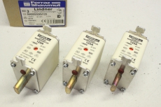 3x FERRAZ SHAWMUT Sicherungseinsatz Lindner 125A 500V 120kA NH00GG50V125 NH00