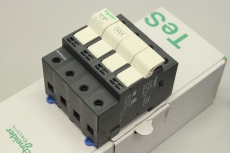 3x SCHNEIDER ELECTRIC DF103N 940725 Sicherungshalter 13389119407257 OVP