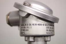 GHM 8101/A-1-2L-9/6-400-0-G1/2-BK-500 400mm 500°C Temperatursensor DIN 60751 