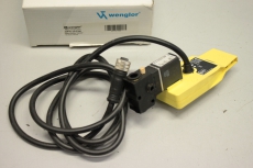 WENGLOR OPT175-P06 Spiegelreflexschranke für Rollenstauförderer 