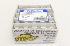 FERRAZ SHAWMUT  597.0257 25A DII  Schmelzsicherung Sicherungseinsatz 