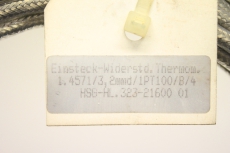  1.4571 3,2mm 1PT100 B/4 Einsteck widerstandsthermometer HSG-HL.323-21660 