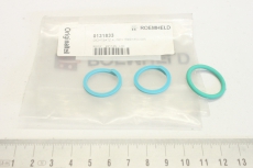 ROEMHELD  0131833 1849/1850-0X5 Dichtsatz Seal Kit  52156 OVP