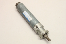 FESTO DGW-32-100 Rundzylinder  