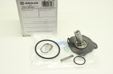 RIEGLER  118162 Dichtungsatz Ventil  Teilesatz Für MV 1228/0  302276V OVP