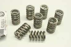 8x  115573 Druckfedern spring  für Kaspar Walter Galvanikanlagen 115573