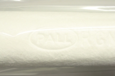 PALL RGN1FN100 L: 250mm Filterelement Filter  RGN1FN100 OVP