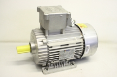 RAEL RL 100 LB 4 RL0035 EX 3kW 3,5kW Motor Explosionsgeschützt R0035 RL100LB 