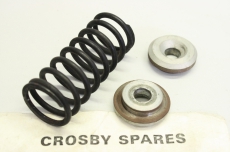 CROSBY SPARES X0803/25821 Control Valve Spring Feder X0803/25821
