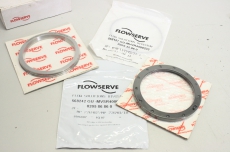FLOWSERVE 31029076 JR9R3937NB3 JQ3SA435031 568157 568242 Bearing Seal Set OVP