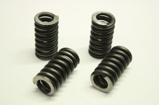 4x  D13529F  Druckfedern Spring für MAAG 