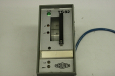 REGULATO TS82 L808 82 220V 0-60 Temperaturregler 