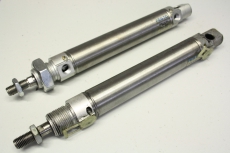 2x FESTO DSNU25-100-PPV-A 19248 25-100 100mm 10 Pneumatikzylinder