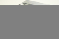 TOKYO ELECTRON LIMITED A7337-043 XMC40067-F CSD5814N-P  Motor  DRIVER  OVP