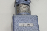  ENGEL GNM 3125- G25 34V   1,15A  24W G24-240:1 Getriebemotor GNM3125-G25 