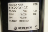 ORIENTAL MOTOR  4IK22GK-CE 220/240V 50Hz 18/22W  WP9 Induction Motor 4IK22GKCE