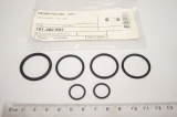 GEORG FISCHER  161.482.884 EPDM d25 DN20  O-Ringe Seal Ring Dichtung SET OVP