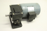 GROSCHOPP WK0737504 KM94-60 180V 160W 3000rpm 1,1A Getriebemotor 8266312