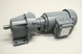 BAUER BG06G04-11/D04LA4 0,03kW I:250,2 Getriebemotor Z 10469691-1
