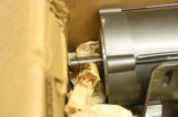 BALDOR CDP3445 1750 u/min 1Hp 3070-0800 Motor 34-5990-3675