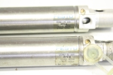 2x FESTO DSNU25-100-PPV-A 19248 25-100 100mm 10 Pneumatikzylinder