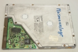 QUANTUM Bigfoot 5,25 Series Disk Drives 1,2GB Fetplatte Harddisk 131633343146Y