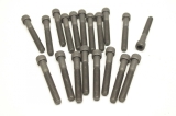 19x  086181 Head Cap Screw für SIGNODE  Druckluft Ersatzteil Spare 086181