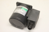 ORIENTAL MOTOR 5IK40GN-SWT Induction Motor Induktion 5IK40GNSWT