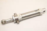 FESTO DSNU-32-80-PPV-A 196023 Rundzylinder 