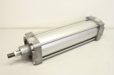 FESTO DNG-100-300-PPV-A 30005 Normzylinder Zylinder Cylinder 