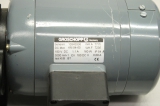 GROSCHOPP KM 94-60 180V DC 1,1A 160W 3000rpm Getriebemotor KM 94-60
