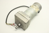 ELECTRIC STATURE  5077-027 120rpm 115VDC 1,1Amps Motor 