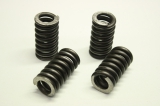 4x  D13529F  Druckfedern Spring für MAAG 